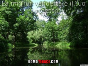 img successo vendetta