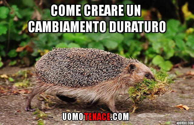 Come creare un cambiamento duraturo