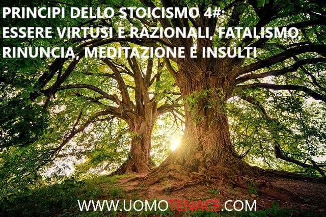 Come vivere una buona vita grazie ai principi dello stoicismo. #4 – Essere virtuosi e razionali, fatalismo, rinuncia, meditazione e insulti